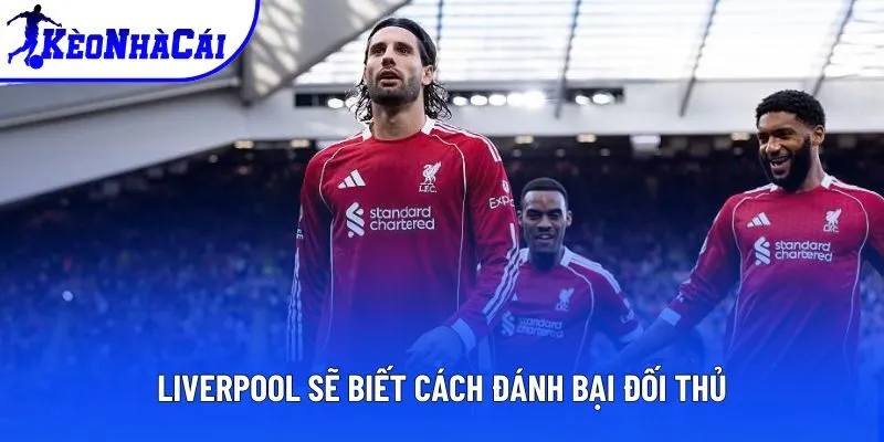 Liverpool sẽ biết cách đánh bại đối thủ Liverpool sẽ biết cách đánh bại đối thủ